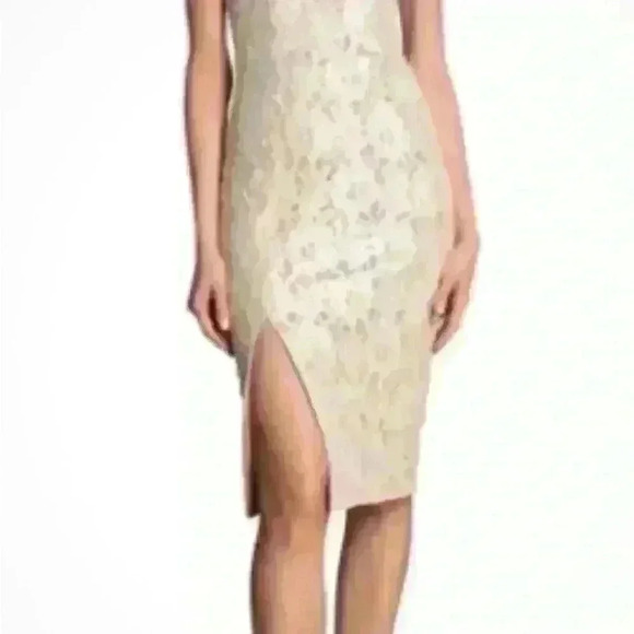 NWT Dress the Population Cadence Dress
XXS - Picture 3 of 4